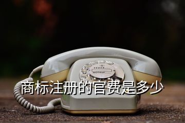 商標(biāo)注冊的官費(fèi)是多少