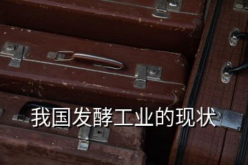 我國(guó)發(fā)酵工業(yè)的現(xiàn)狀