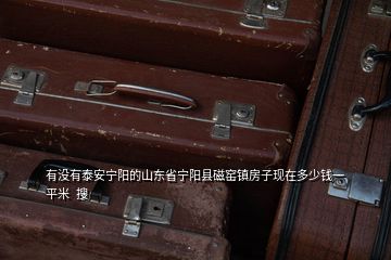 有沒(méi)有泰安寧陽(yáng)的山東省寧陽(yáng)縣磁窯鎮(zhèn)房子現(xiàn)在多少錢一平米  搜