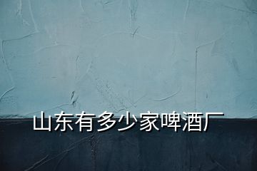 山東有多少家啤酒廠