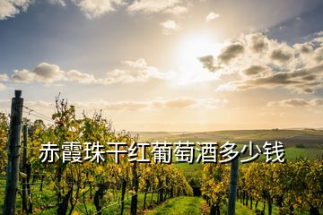 赤霞珠干紅葡萄酒多少錢(qián)