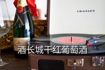 酒長(zhǎng)城干紅葡萄酒