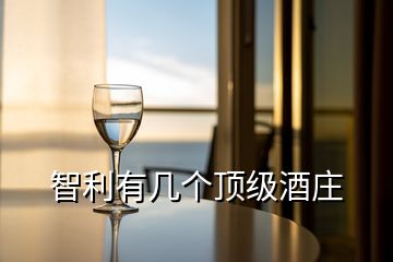 智利有幾個頂級酒莊