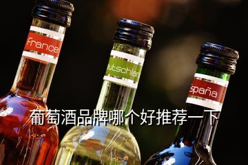 葡萄酒品牌哪個好推薦一下