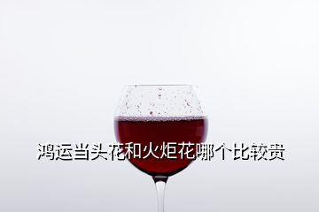 鴻運(yùn)當(dāng)頭花和火炬花哪個比較貴