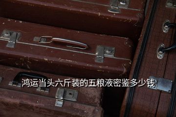 鴻運(yùn)當(dāng)頭六斤裝的五糧液密鑒多少錢(qián)