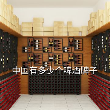 中國有多少個(gè)啤酒牌子