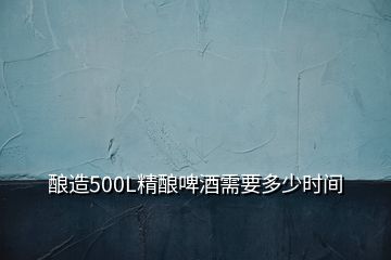 釀造500L精釀啤酒需要多少時間