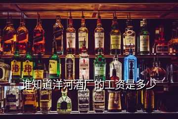 誰(shuí)知道洋河酒廠的工資是多少