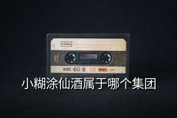 小糊涂仙酒屬于哪個集團(tuán)