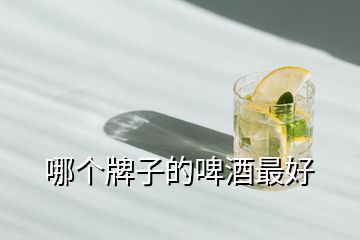 哪個(gè)牌子的啤酒最好