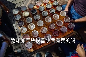 免蒸加氣塊設(shè)備陜西有賣(mài)的嗎
