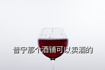 普寧那個(gè)酒鋪可以賣酒的
