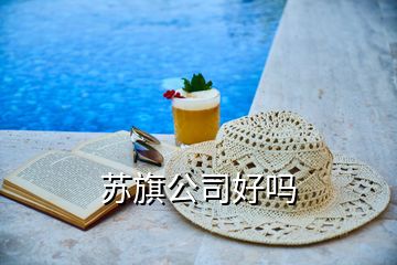 蘇旗公司好嗎