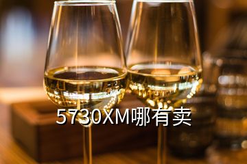 5730XM哪有賣(mài)