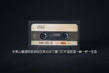 天寒心暖遇知音談吐往來(lái)無(wú)白丁蓬門打開溫壺酒一曲一杯一生情