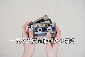 一克冬蟲(chóng)夏草能泡多少酒呢