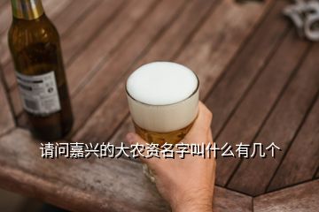 請問嘉興的大農(nóng)資名字叫什么有幾個