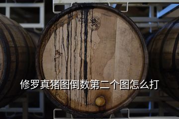 修羅真豬圖倒數(shù)第二個圖怎么打