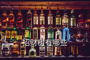 招財(cái)樹有哪些