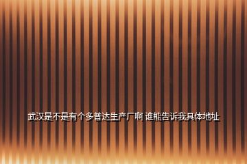 武漢是不是有個(gè)多普達(dá)生產(chǎn)廠啊 誰能告訴我具體地址