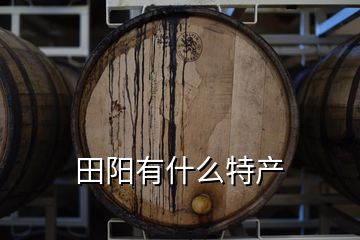 田陽(yáng)有什么特產(chǎn)