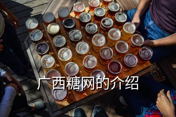 廣西糖網的介紹