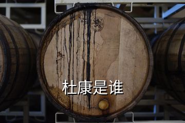 杜康是誰