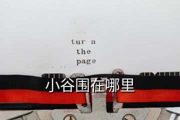 小谷圍在哪里