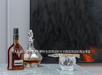 鳴人佐助小櫻將要進(jìn)行野外生存測試時卡卡西說測試的淘汰率是