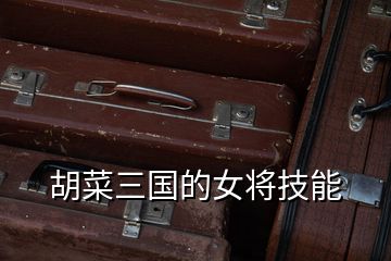 胡菜三國(guó)的女將技能