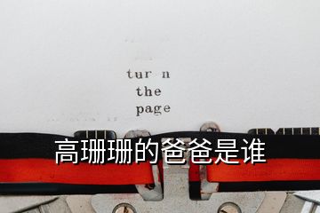 高珊珊的爸爸是誰