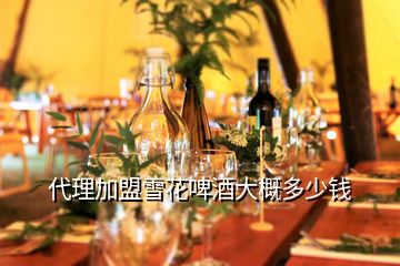 代理加盟雪花啤酒大概多少錢(qián)