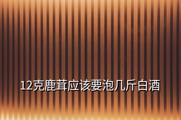 12克鹿茸應(yīng)該要泡幾斤白酒