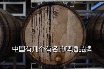 中國有幾個(gè)有名的啤酒品牌
