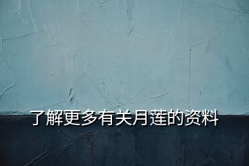 了解更多有關月蓮的資料