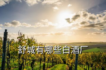 舒城有哪些白酒廠(chǎng)