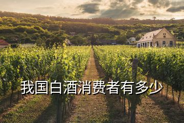 我國白酒消費(fèi)者有多少