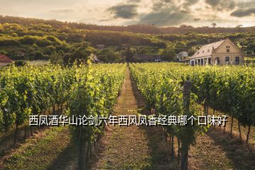 西鳳酒華山論劍六年西風(fēng)鳳香經(jīng)典哪個(gè)口味好