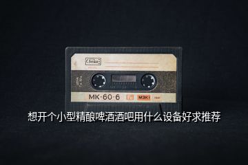 想開個小型精釀啤酒酒吧用什么設備好求推薦