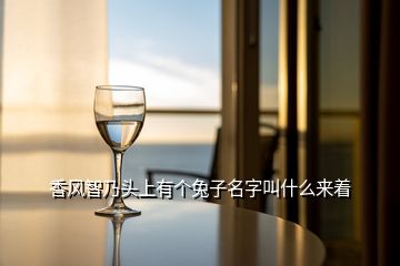 香風智乃頭上有個兔子名字叫什么來著