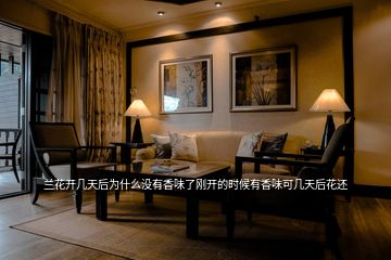 蘭花開(kāi)幾天后為什么沒(méi)有香味了剛開(kāi)的時(shí)候有香味可幾天后花還