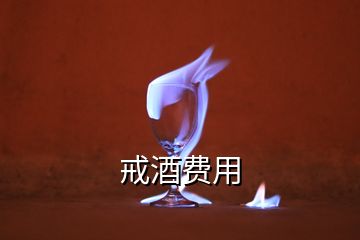 戒酒費(fèi)用