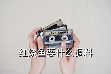 紅燒魚要什么調料