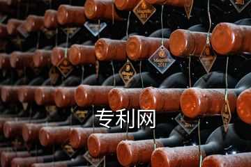 專(zhuān)利網(wǎng)