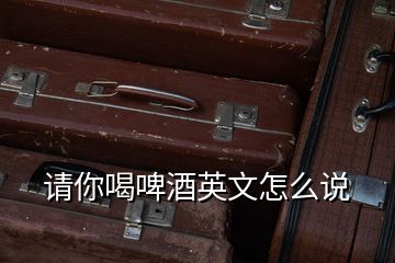 請你喝啤酒英文怎么說