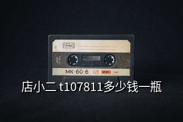 店小二 t107811多少錢(qián)一瓶