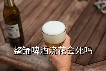 整罐啤酒澆花會死嗎