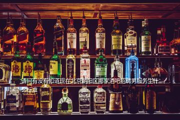 請問有沒有知道現(xiàn)在北京朝陽區(qū)哪家酒吧招聘男服務生什么標準