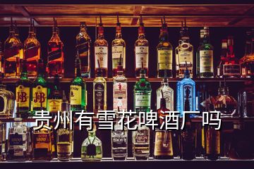 貴州有雪花啤酒廠(chǎng)嗎